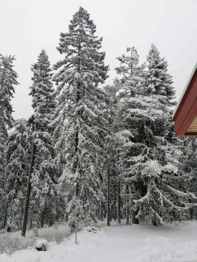 Elina Hotel Pamporovo Eksteriør bilde