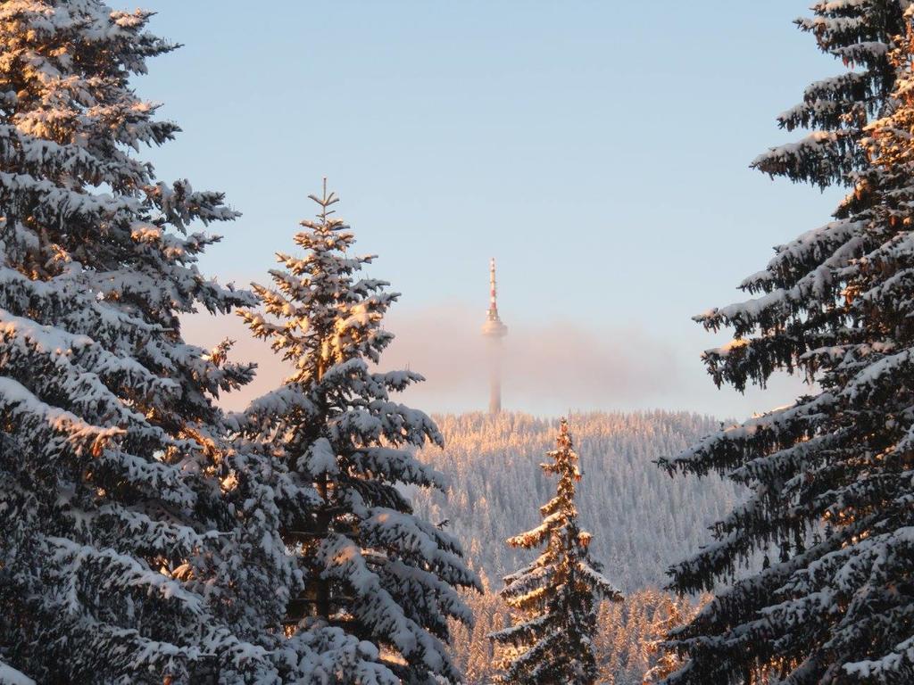 Elina Hotel Pamporovo Eksteriør bilde