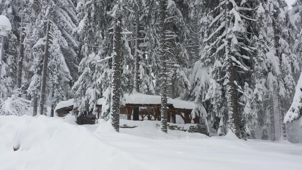 Elina Hotel Pamporovo Eksteriør bilde